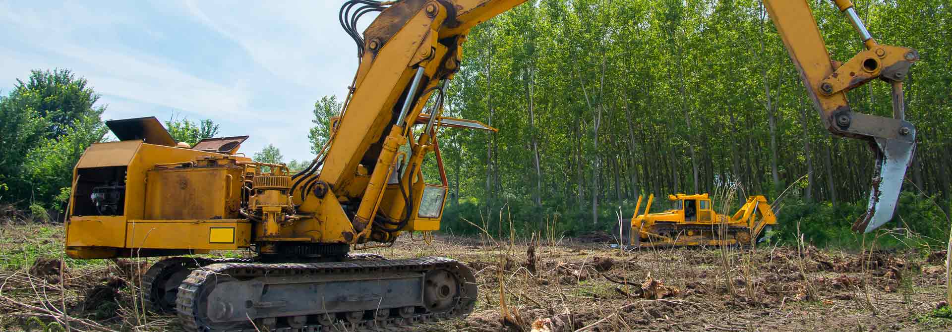 Tree Removal Services